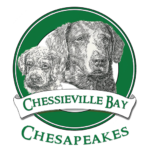 Chesapeake Bay Logo