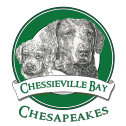 Chesapeake Bay Logo