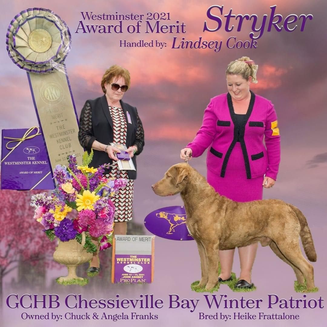 Stryker Receives Award of Merit at Westminster 2021