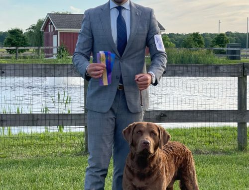 Pet Friends Over The Years - Chesapeake Bay